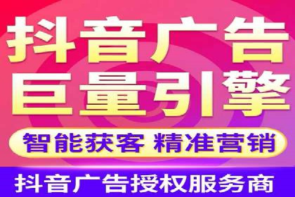 某品牌的信息流广告投放策略及效果展示